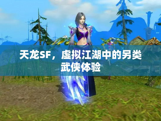 天龙SF，虚拟江湖中的另类武侠体验