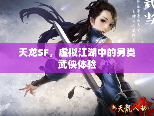 天龙SF，虚拟江湖中的另类武侠体验