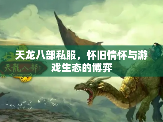 天龙八部私服，怀旧情怀与游戏生态的博弈