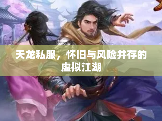 天龙私服，怀旧与风险并存的虚拟江湖