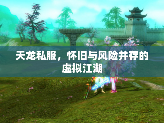 天龙私服，怀旧与风险并存的虚拟江湖