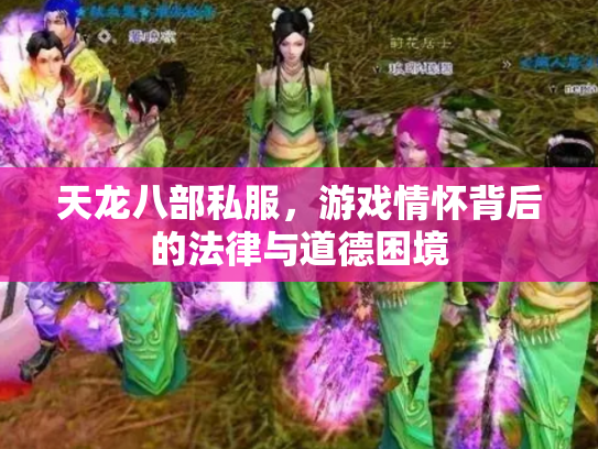 天龙八部私服，游戏情怀背后的法律与道德困境