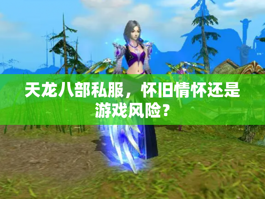 天龙八部私服，怀旧情怀还是游戏风险？