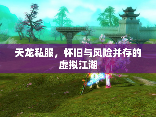 天龙私服，怀旧与风险并存的虚拟江湖
