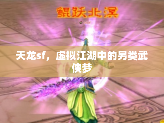 天龙sf，虚拟江湖中的另类武侠梦
