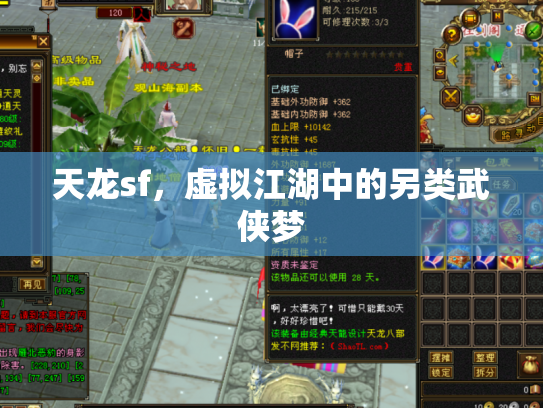 天龙sf，虚拟江湖中的另类武侠梦