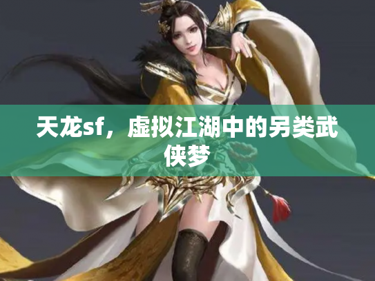 天龙sf，虚拟江湖中的另类武侠梦