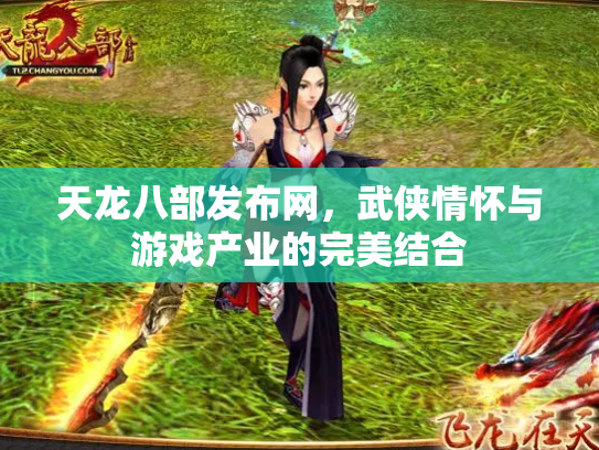 天龙八部发布网，武侠情怀与游戏产业的完美结合