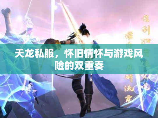 天龙私服，怀旧情怀与游戏风险的双重奏