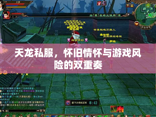 天龙私服，怀旧情怀与游戏风险的双重奏