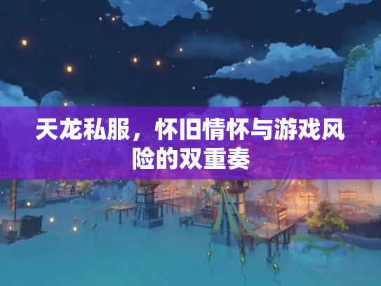 天龙私服，怀旧情怀与游戏风险的双重奏