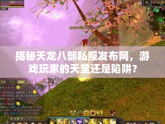 揭秘天龙八部私服发布网，游戏玩家的天堂还是陷阱？