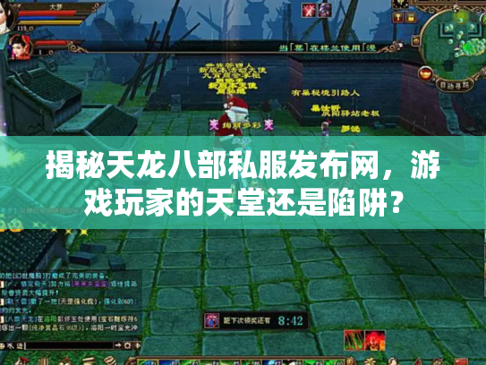 揭秘天龙八部私服发布网，游戏玩家的天堂还是陷阱？