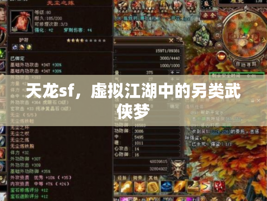 天龙sf，虚拟江湖中的另类武侠梦