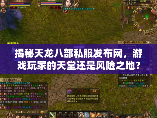 揭秘天龙八部私服发布网，游戏玩家的天堂还是风险之地？