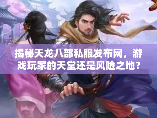揭秘天龙八部私服发布网，游戏玩家的天堂还是风险之地？