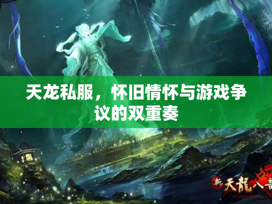 天龙私服，怀旧情怀与游戏争议的双重奏