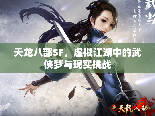 天龙八部SF，虚拟江湖中的武侠梦与现实挑战