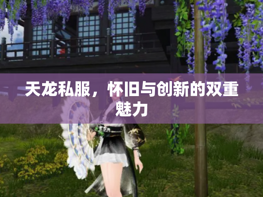 天龙私服，怀旧与创新的双重魅力