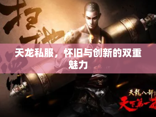 天龙私服，怀旧与创新的双重魅力
