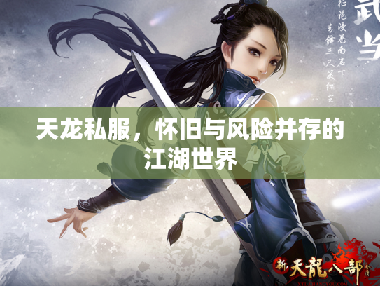 天龙私服，怀旧与风险并存的江湖世界