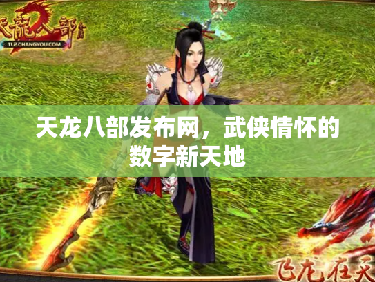 天龙八部发布网，武侠情怀的数字新天地