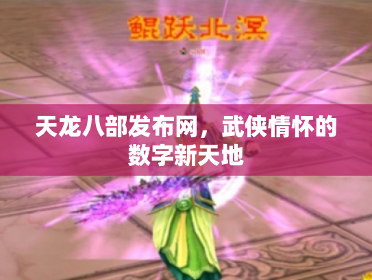天龙八部发布网，武侠情怀的数字新天地