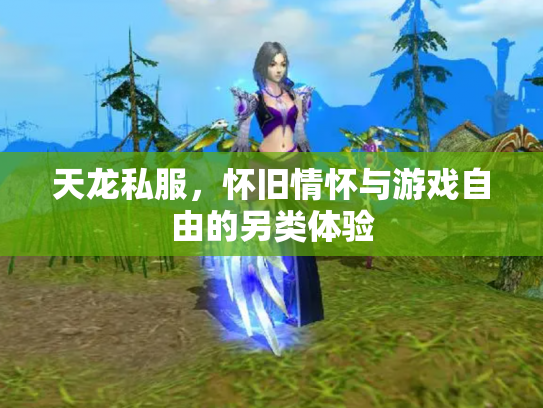天龙私服，怀旧情怀与游戏自由的另类体验
