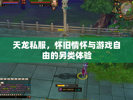 天龙私服，怀旧情怀与游戏自由的另类体验