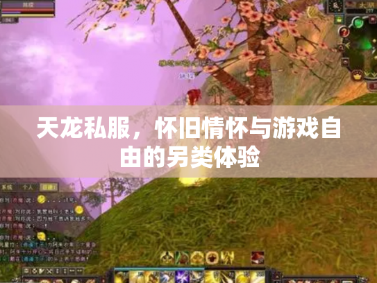 天龙私服，怀旧情怀与游戏自由的另类体验