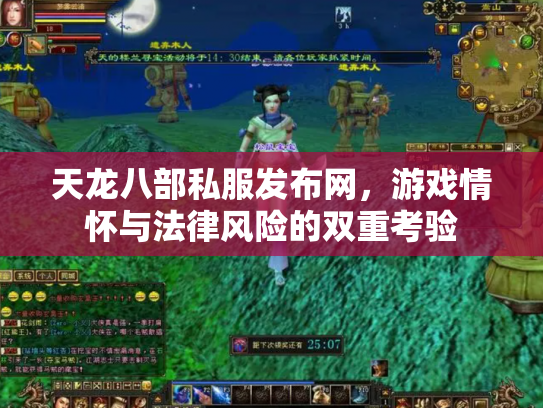 天龙八部私服发布网，游戏情怀与法律风险的双重考验