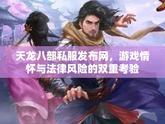 天龙八部私服发布网，游戏情怀与法律风险的双重考验