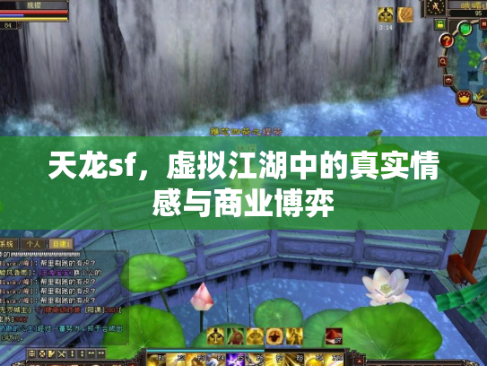 天龙sf，虚拟江湖中的真实情感与商业博弈