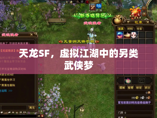 天龙SF，虚拟江湖中的另类武侠梦