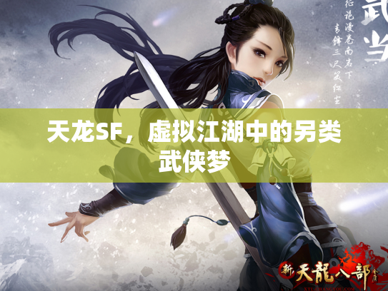 天龙SF，虚拟江湖中的另类武侠梦