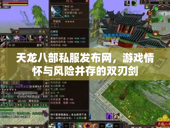天龙八部私服发布网，游戏情怀与风险并存的双刃剑