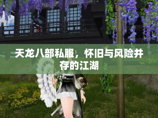 天龙八部私服，怀旧与风险并存的江湖