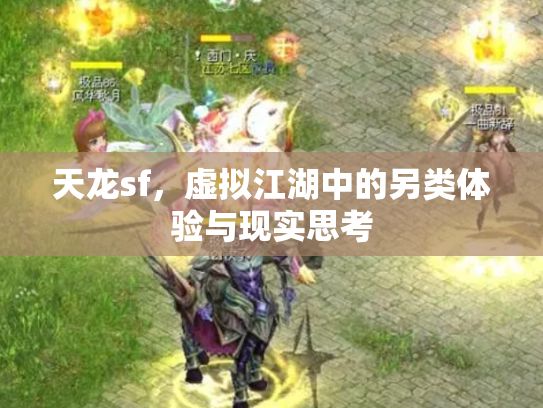 天龙sf，虚拟江湖中的另类体验与现实思考