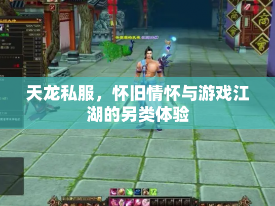天龙私服，怀旧情怀与游戏江湖的另类体验