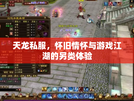 天龙私服，怀旧情怀与游戏江湖的另类体验