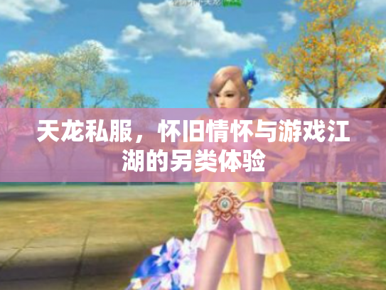 天龙私服，怀旧情怀与游戏江湖的另类体验