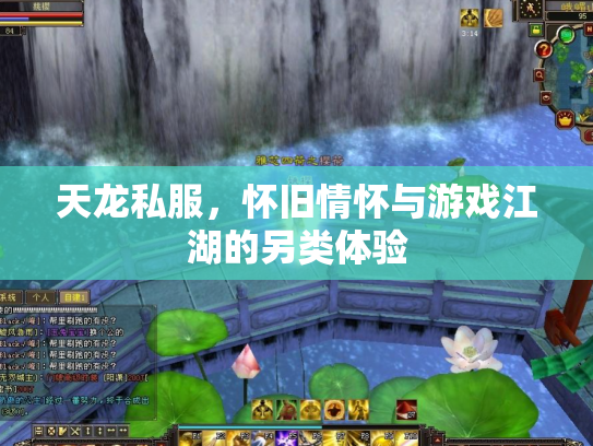 天龙私服，怀旧情怀与游戏江湖的另类体验