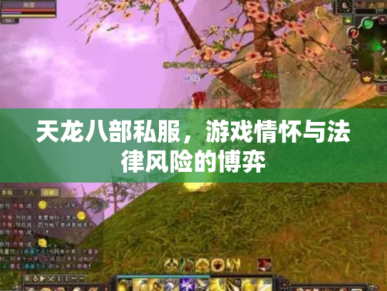 天龙八部私服，游戏情怀与法律风险的博弈