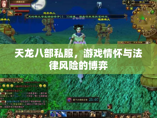 天龙八部私服，游戏情怀与法律风险的博弈
