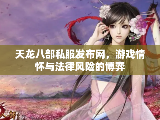 天龙八部私服发布网，游戏情怀与法律风险的博弈