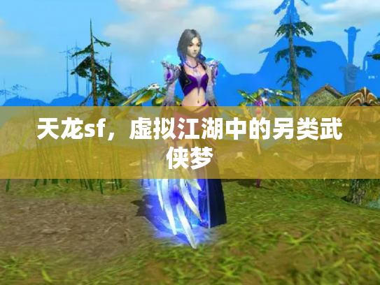 天龙sf，虚拟江湖中的另类武侠梦