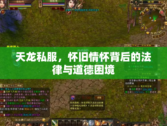 天龙私服，怀旧情怀背后的法律与道德困境