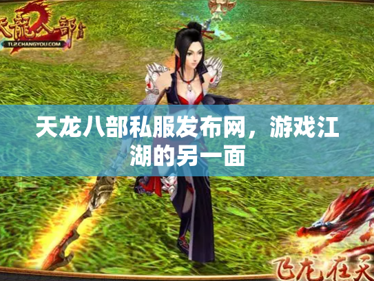 天龙八部私服发布网，游戏江湖的另一面