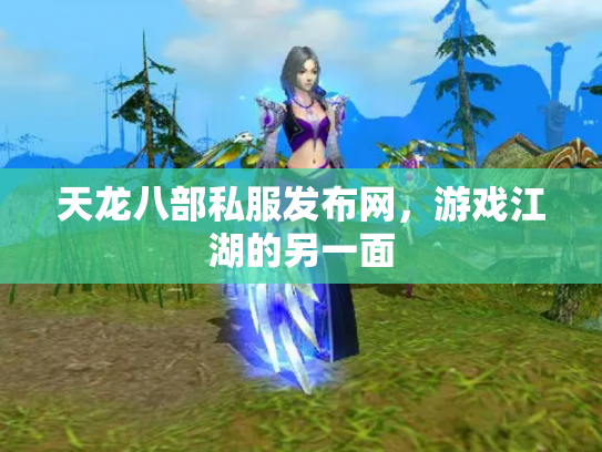 天龙八部私服发布网，游戏江湖的另一面