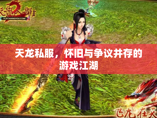 天龙私服，怀旧与争议并存的游戏江湖